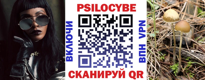 наркота  Чухлома  Галлюциногенные грибы прущие грибы 